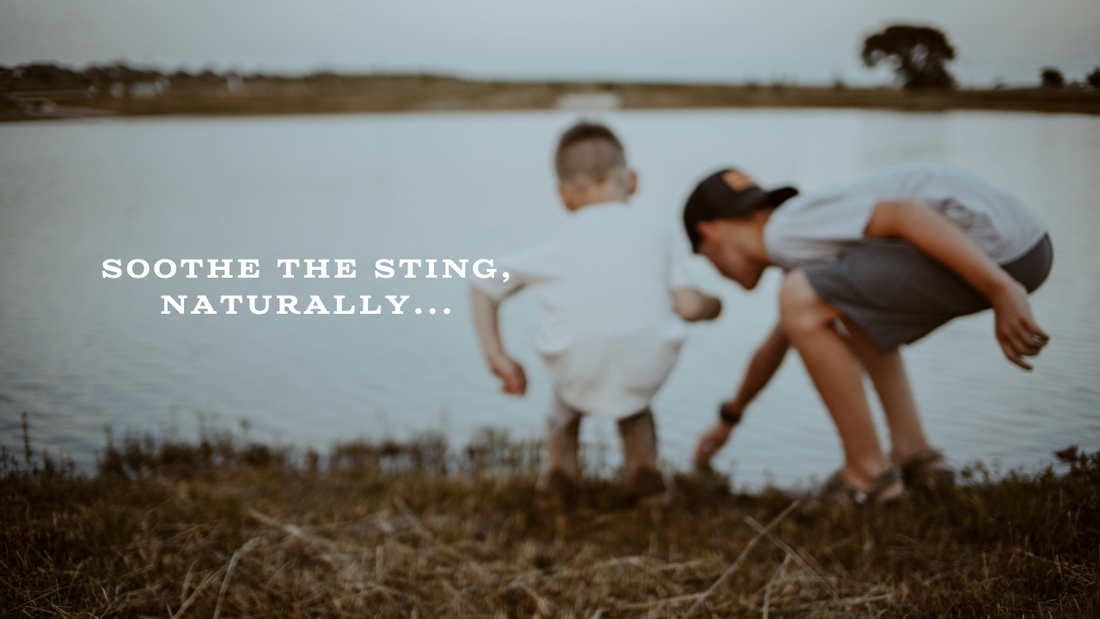 Soothe the Sting, Naturally with Tallow Anti-Itch Stick