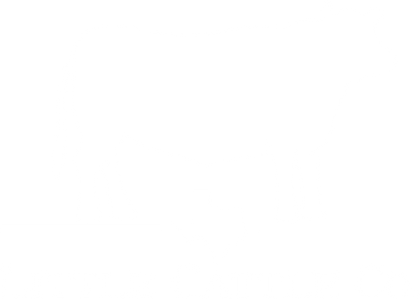 Little Cattle Co. logo